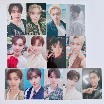 seventeen 트레이딩 카드 디노