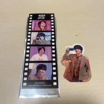 카시와기 유 RE:VE 카드 & 씰