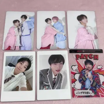 팬더 드래곤 하피카 트레이딩 카드 팻치