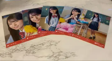 노기자카46 세토구치 신츠키 개별 브로마이드 5장 세트