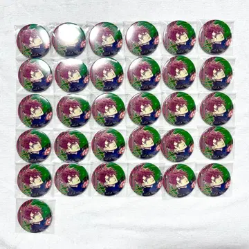 거품의 유크로니아 이 캔뱃지 31개