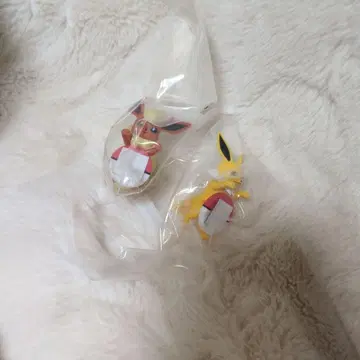 포켓몬 길거리 산책 챠라링 프렌즈 F상