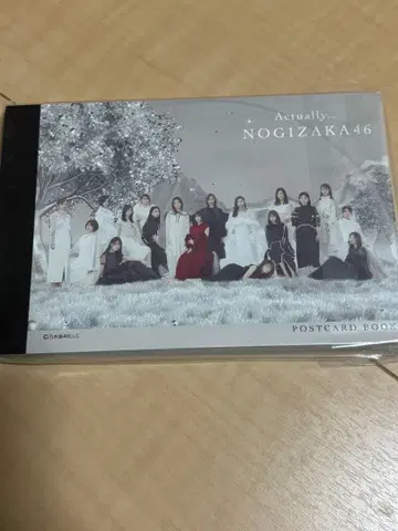노기자카46 Actually 엽서북