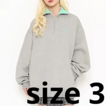 PUNYUS 카라 부착 하프 ZIP 속기모 맨투맨 그레이