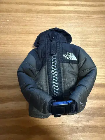 TNF 눕시 키링