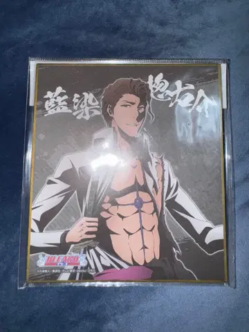 BLEACH 아이젠 소스케 미니 색지