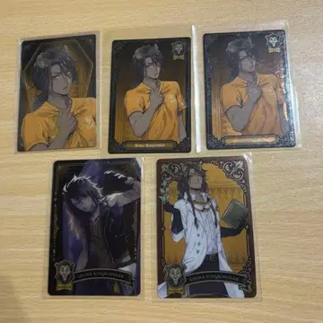 레오나 킹스컬러 카드