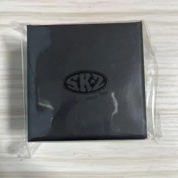 straykids 5star 서울콘 한 반지