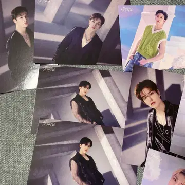 straykids 랜덤 트레이딩 카드 돔 투어