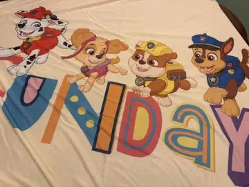 새상품 냉감 케트 파우 패트롤 타월 무릎 담요 시원함