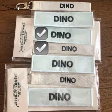 SEVENTEEN DINO 와펜 RIGHT HERE