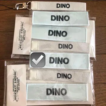 SEVENTEEN DINO 와펜 RIGHT HERE