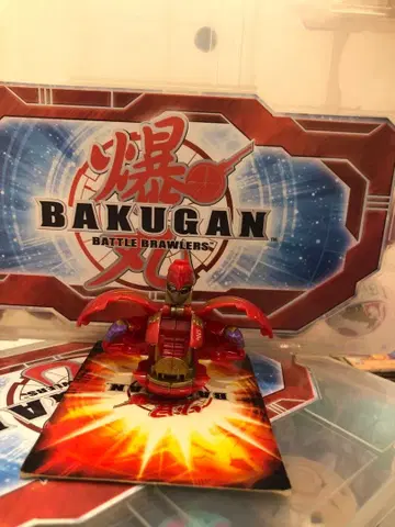 바쿠간 노바 마스터인그램