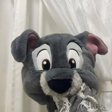 [ 24시간 이내 발송 ] 완두완두 이야기 카드놀이 팬 캡