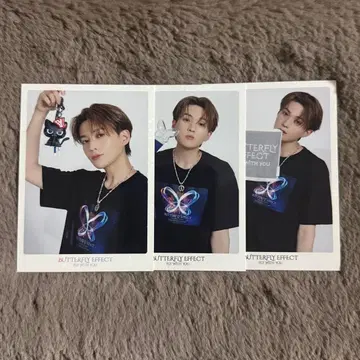 야기 유세이 포토 카드 시크릿