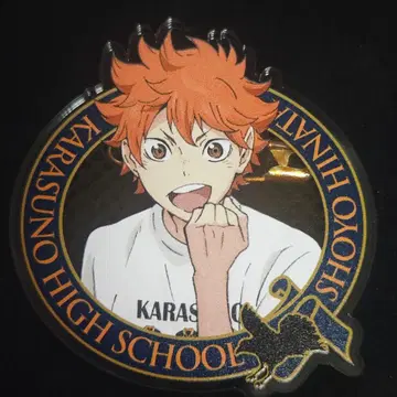 하이큐 히나타 쇼요 체험 입부회 2015 아크릴 배지 캔뱃지