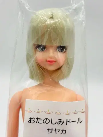 사야카 리카짱 캐슬 오타노시미 인형 옅은 색 계열 밥 제니 프렌드