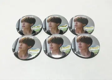 센라 센완 Brun 실사 캔뱃지 6점