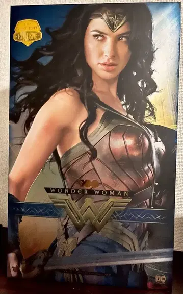 MMS698 핫토이즈 원더우먼 워너 100주년