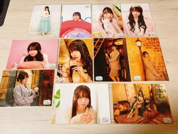 하나미야 하츠나 브로마이드 11장 세트