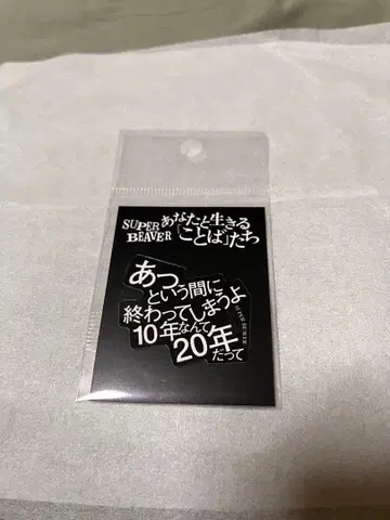 SUPER BEAVER 스티커 섬광