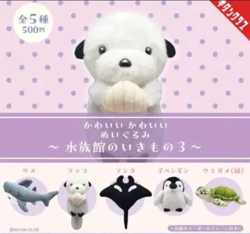 귀여운 귀여운 봉제 인형 수족관의 생물 3종 전 5종 세트