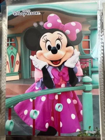 툰타운 미니 미니 마우스 도쿄 디즈니 리조트 툰짱