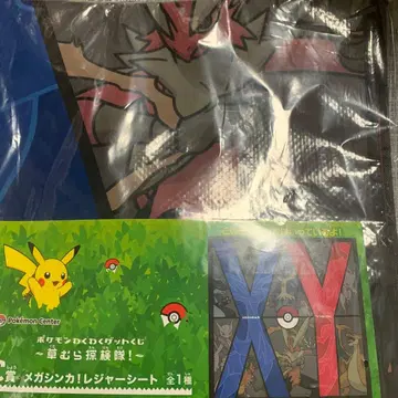 new 포켓몬 메가진화 돗자리