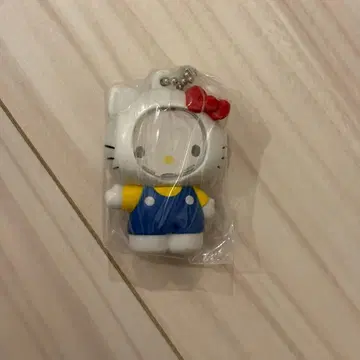 사진 프레임 마스코트 산리오 키티