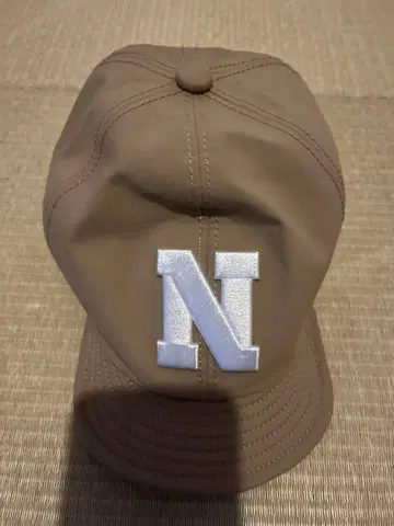 THE NORTH FACE N 로고 GORE-TEX 캡