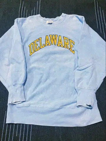DELAWARE 챔피온 90s 리버스