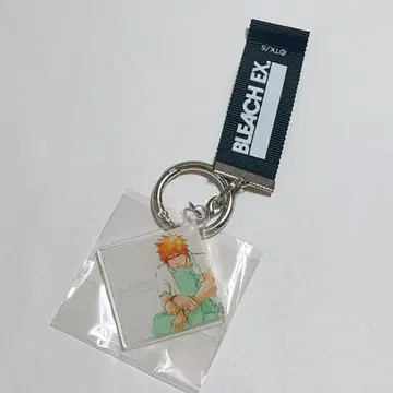 BLEACH 원화전 오리지널 레코드 자켓 쿠로사키 이치고