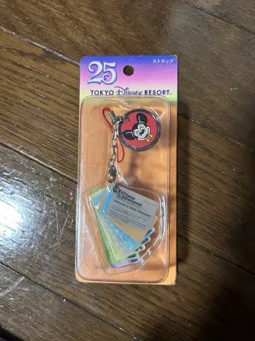 도쿄 디즈니랜드 25주년 한정판 스트랩 빅 10