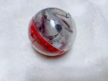 릴린린 캡슐 토이 2025 화이트 모자