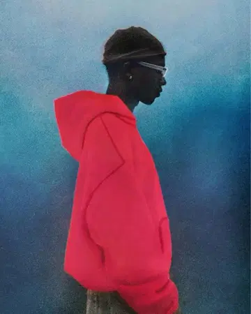 L / SKYLRK JELLY PULL OVER HOODIE