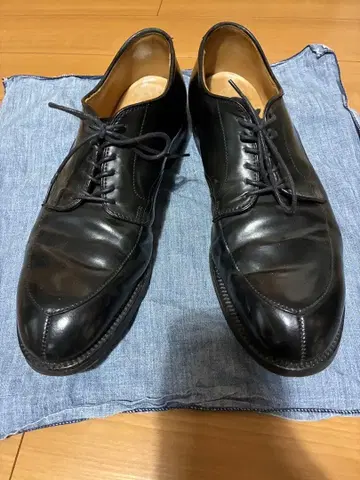 [ 덤 포함 ] alden v 칩 코도반 54331 블랙