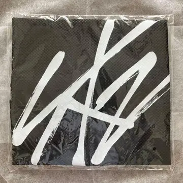 StrayKids 스키즈 메쉬 토트 백