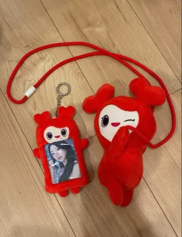 TWICE 안아주는 미니백 & 트레이딩 카드 케이스 채영 첸리