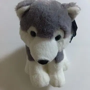 토이저러스 허스키 봉제 인형 미사용 새상품