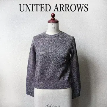 UNITED ARROWS 유나이티드 애로우즈 라메 실버 프리 니트