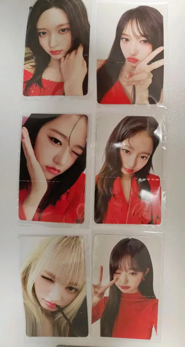 아이브 파파존스 포토카드