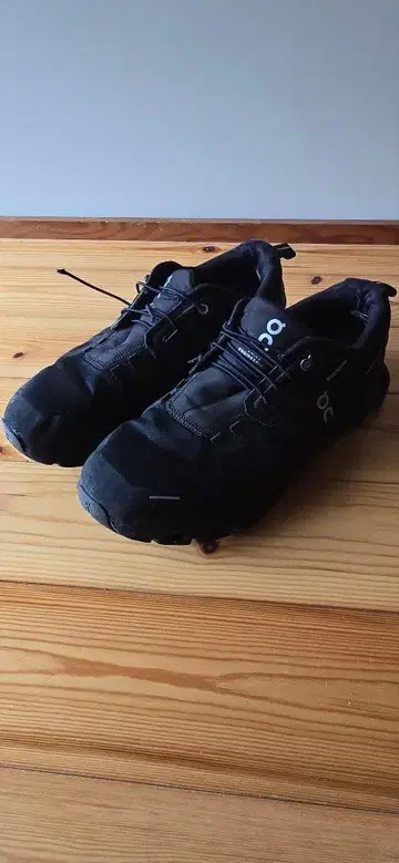 On Cloud 5 Waterproof 29cm