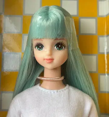 리카짱 캐슬 제니 프렌드 미라이 캐슬 컬렉션 본체