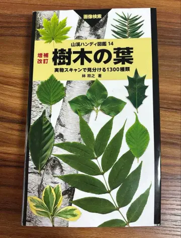 나무 잎 실물 스캔으로 구분하는 1300종류 이미지 검색