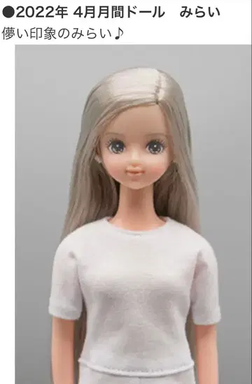 리카짱 캐슬 2022년 4월 월간 인형 미라이 제니 프렌드