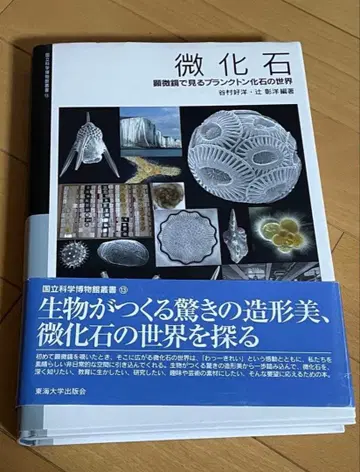 미화석 현미경으로 보는 플랑크톤 화석의 세계