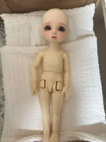 슈퍼돌피 유SD 코린 레미