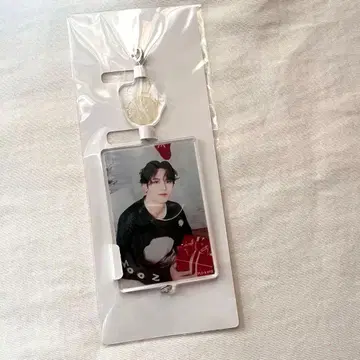 seventeen 민규 오너먼트