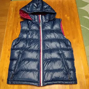 다운 베스트 라코스테