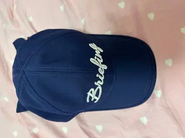 브리핑 캡